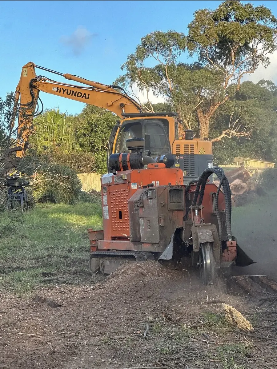 Tracked excavator paired with a mulching attachment clearing regrowth