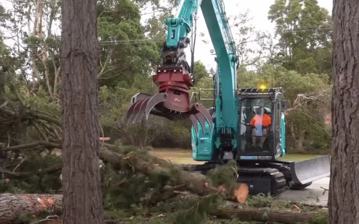 Excavator with a grapple processor head clearing felled pines on a rural block